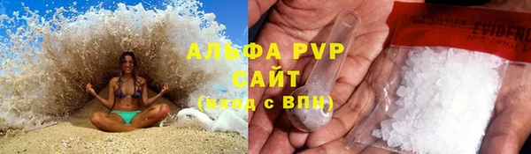 ГАЛЛЮЦИНОГЕННЫЕ ГРИБЫ Алексин