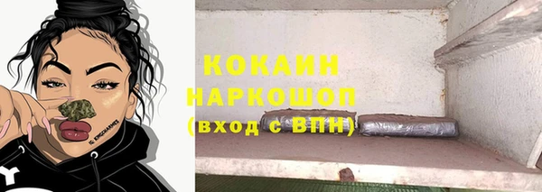 прущие грибы Аркадак