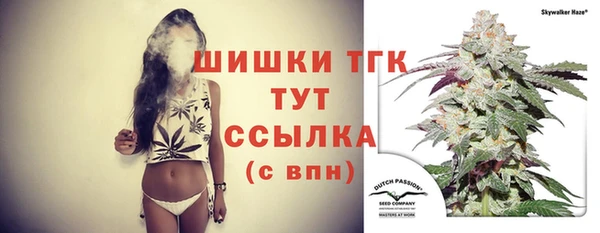 прущие грибы Аркадак