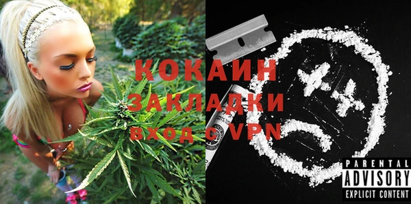 прущие грибы Аркадак