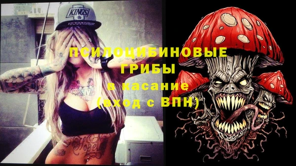 прущие грибы Аркадак