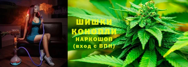 прущие грибы Аркадак