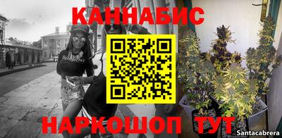 крисы Краснознаменск